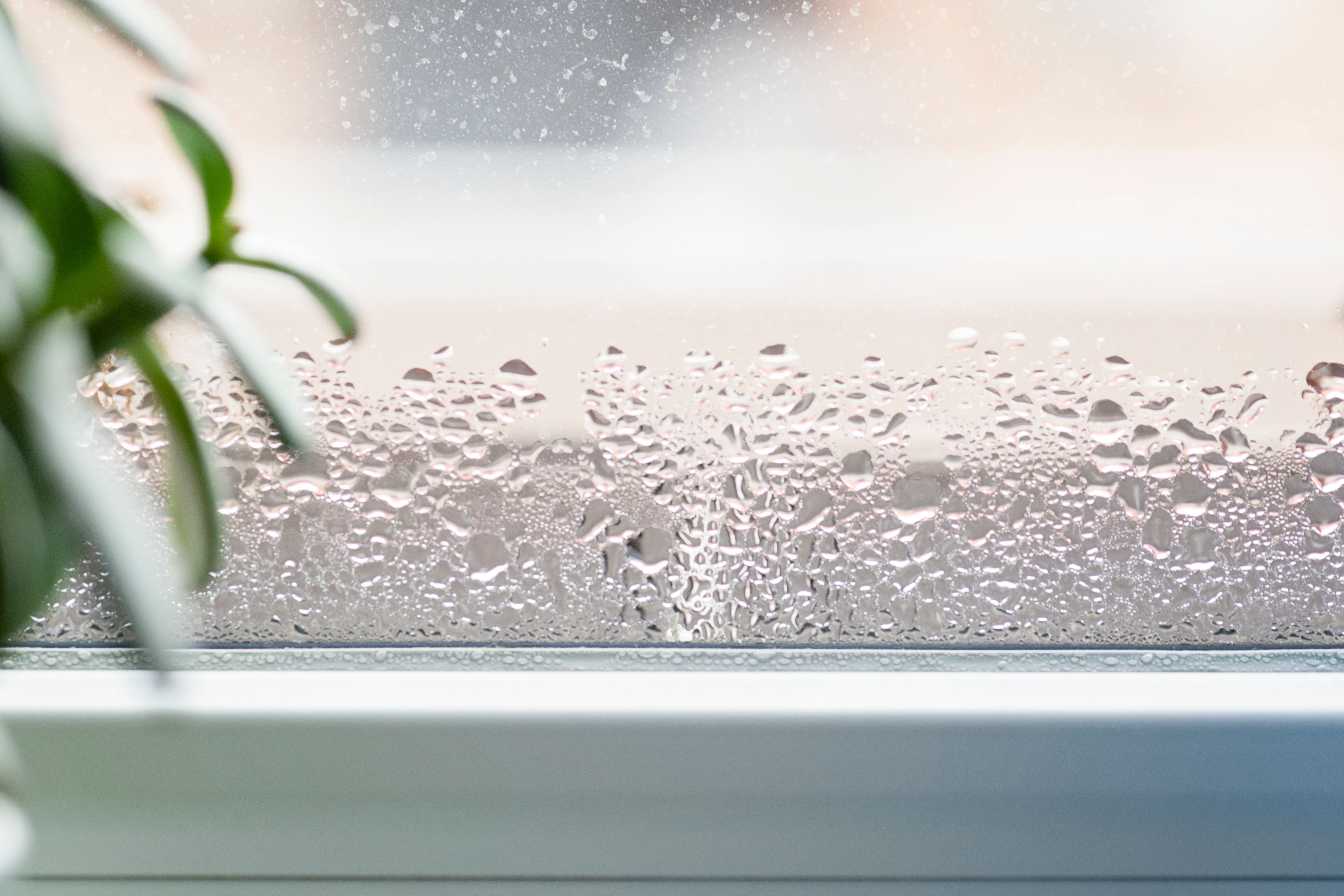 How Humidity Affects Your Health Your Home